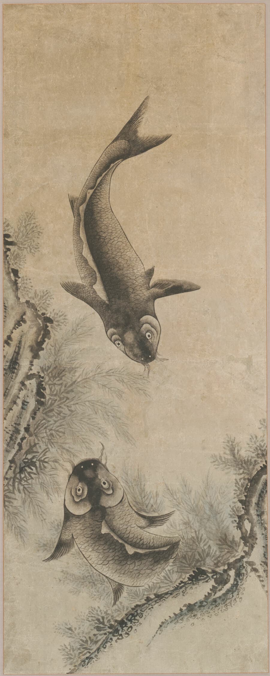 A Pair of Carp